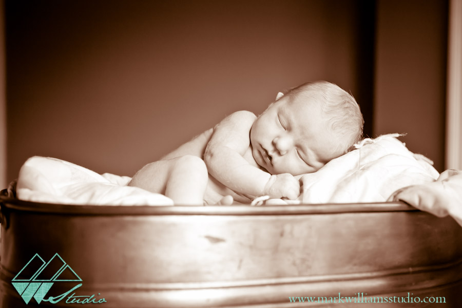 Dr Seuss Photograph