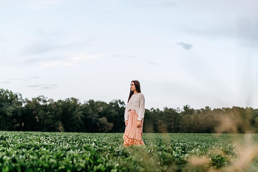 LOCATION SPECIAL |Field/Pecan Orchard Sunset | LAMB,KATE-0186.jpg