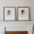 BOOK NOW |  Heirloom Bust Portraits | 2026 | 5dc27188.jpeg