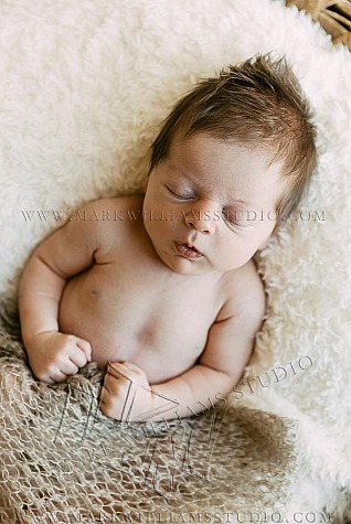 Ford | Newborn
